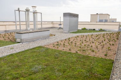 La coberta vegetal de l’edifici de l’H3 del parc Agrobiotech de Gardeny. - OMA
