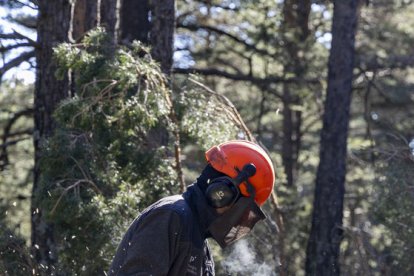 Un dels participants en l’edició de l’any passat. - INTEGRA PIRINEUS