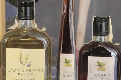 Cap amunt - LLUÏSA PLA