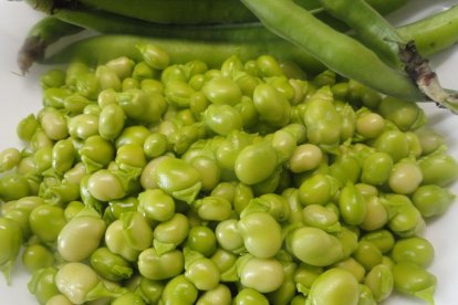 Les favetes - AMETLLES I AVELLANES