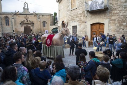 Centenars de persones a la plaça Bisbe Comelles van veure ballar per primera vegada la Mulassa. - C. MARSIÑACH