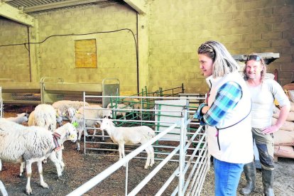 Era sindica d’Aran en tot visitar eth ramat deth projècte Ovihuec.dat - ACN