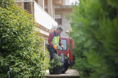 Un agent de la Policía Nacional amb algunes de les plantes decomissades.