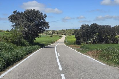 S’han repintat les línies de senyalització horitzontal. - CEDIDA