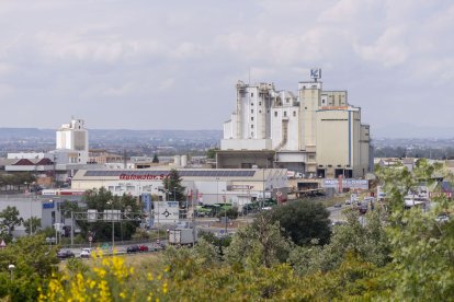 Vista del polígon industrial El Segre. - JORDI ECHEVARRIA