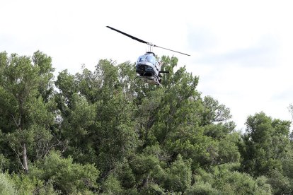 L’helicòpter que porta a terme les fumigacions. - MAGDALENA ALTISENT