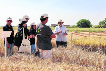 Un moment de la jornada celebrada ahir amb la visita als camps. - JOAN GÓMEZ