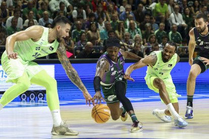 Willy Hernangómez i Punter miren de robar la pilota al local Perry. - EFE