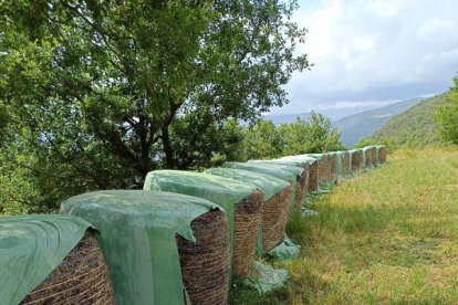 Imatge de com han quedat les bales d’herba. - C.SANS