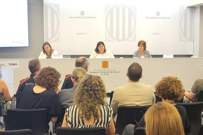 La taula institucional celebrada ahir a la delegació del Govern a Lleida. - DELEGACIÓ DEL GOVERN DE LLEIDA