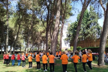 La ballada popular de sardanes al parc del Sant Crist de Balaguer. - C.S.B