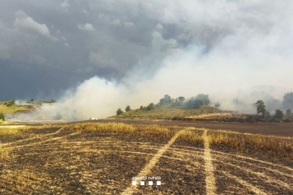 L’incendi de vegetació que es va originar ahir a Oliola, a la Noguera. - CARMINA MARSIÑACH