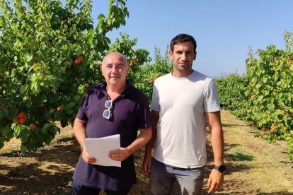 Pere Roqué i Jordi Vidal, ahir en un camp d’albercoquers a Aitona. - E.M.M.
