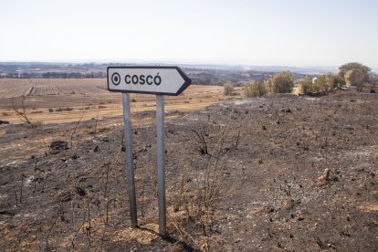 Incendio en Coscó