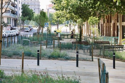 Riu Ebre ha deixat enrere l’asfalt per convertir-se en una ronda verda, i a la rambla Ferran un aligot de Harris controla la població de coloms des de fa setmanes. - JORDI ECHEVARRIA