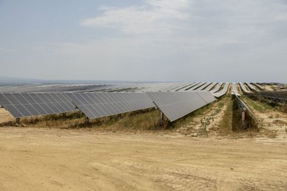 El macroparc solar que es construeix a Alcarràs, dividit en diversos projectes, ocupa prop de 600 hectàrees