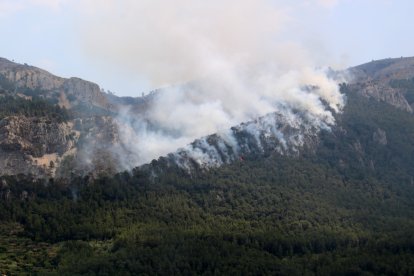 Foc a la serra de Paüls aquest dimarts a la tarda
