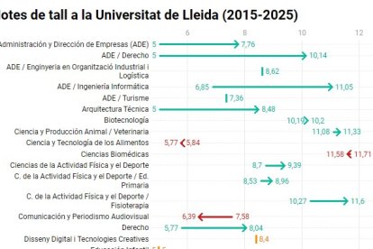 Notes de tall a la Universitat de Lleida (2015-2025)