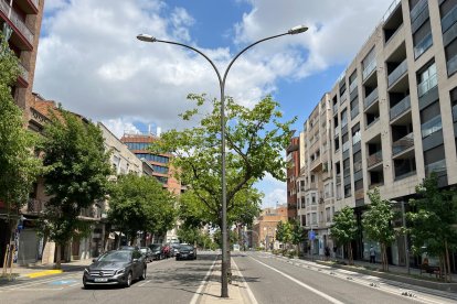 L’Ajuntament de Lleida inicia aquest dilluns les obres de renovació integral de l’enllumenat públic de la mitgera de l’avinguda Prat de la Riba, en el tram situat entre la plaça Ricard Viñes i el carrer Príncep de Viana.