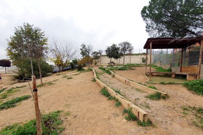 L'espai on es plantarà un bosquet a l'escola Països Catalans