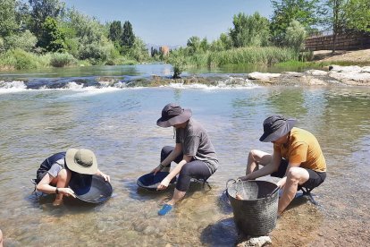 Activitat de recerca d’or artesanal al riu Segre