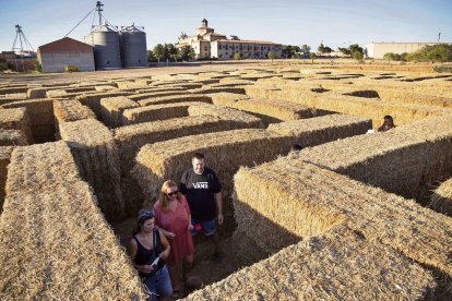 Enguany els usuaris hauran de completar l’arbre genealògic de la família Panarra. - CARMINA MARSIÑACH