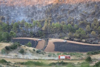 L’incendi va arribar a mobilitzar 150 efectius. - AMADO FORROLLA