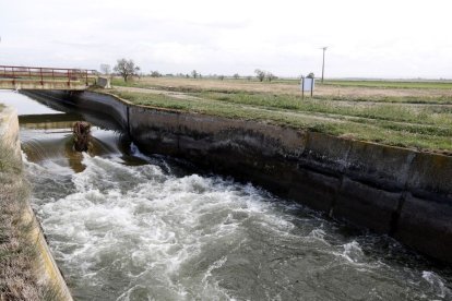 Els regants han activat el setè hidro aquesta campanya. - ACN