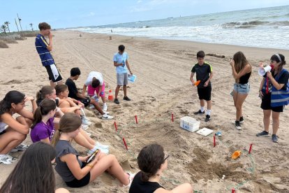 Joves a la platja fent tasques de conservació del medi ambient