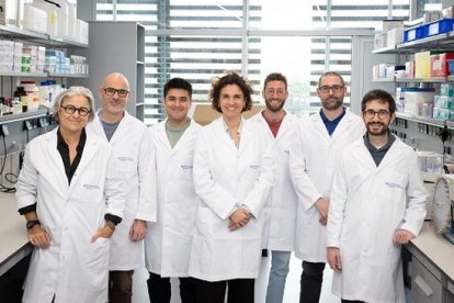 L'equip responsable de l'estudi.
