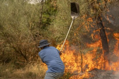 Un veí treballa en tasques d’extinció de l’incendi forestal de Cualedro (Ourense). - EFE/ BRAIS LORENZO
