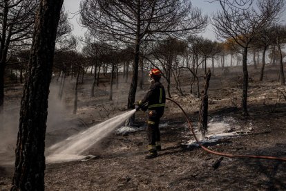 Un bomber refreda una àrea de superfície cremada per l’incendi a Colmenar Viejo (Madrid). - EFE