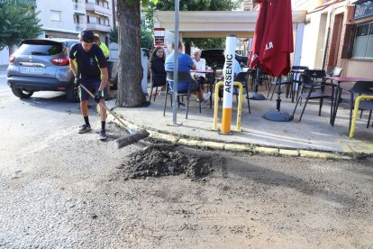 Un dels primers cendrers amb forma de cigarros instal·lats fa anys per dissuadir fumadors.; Array