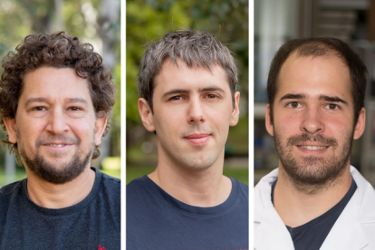 Els investigadors Omar Ramírez-Núñez, Santiago Rico-Ríos i Pascual Torres