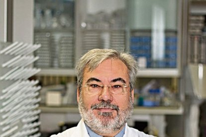 Dr. Anton Aluja Fabregat - IRBLLEIDA