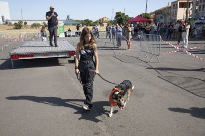 Un moment de la desfilada canina d’ahir a Cervera. - C. MARSIÑACH