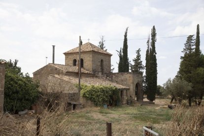 L’ermita de Sant Pere està ubicada als afores de Guissona a la carretera de Sant Guim de la Plana. - C.MARSIÑACH
