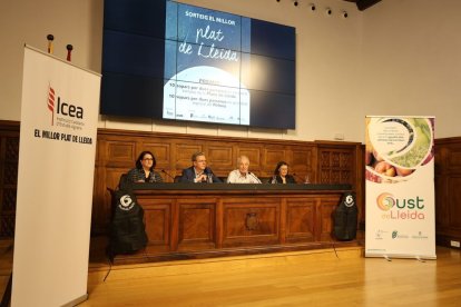 El concurs es va presentar aquesta setmana a l’Institut d’Estudis Ilerdencs. - AMADO FORROLLA