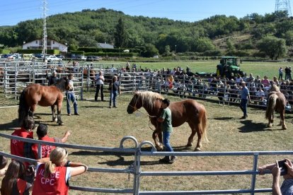 Imatge de la Fira Ramadera Pobleta de Bellveí el 2024