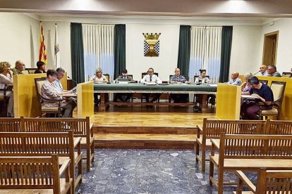 El ple celebrat el dia 17 passat.