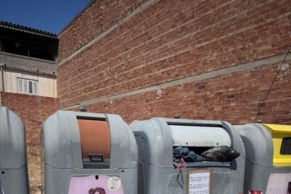 Contenidors desbordats provoquen queixes en Torres de Segre.