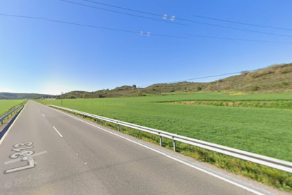 Imatge de la carretera L-313.