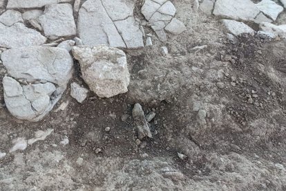 Un dels forats que van fer les persones que van accedir al jaciment amb detectors de metalls. - ACN / MARTA LLUVICH