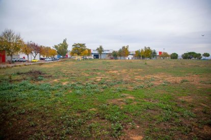 La finca del polígon del Camí dels Frares on la Paeria preveu un centre de culte. - SEGRE