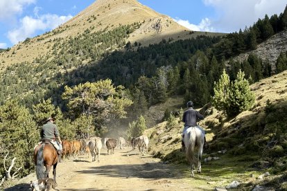 Els germans Lázaro i Pablo Moreno de la muntanya de Tor recullen les vaques a cavall per agilitzar la feina