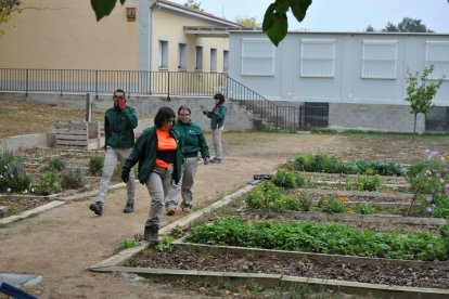 Alumnes del cicle de jardineria i plantes. - E. FARNELL