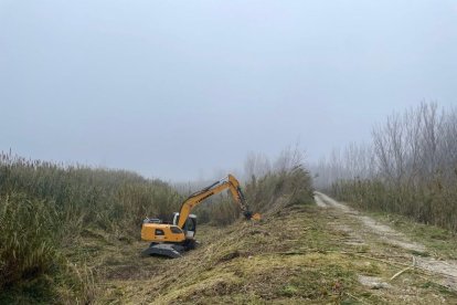 Les obres del projecte Cinca Revive a Fraga van començar la primavera passada.