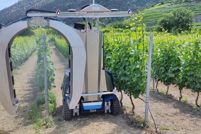 Robòtica, IA, bioeconomia i descarbonització per transformar el sector agrobiotech