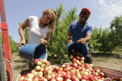 Frutas Lozano té la seu a Fraga des de fa 40 anys.