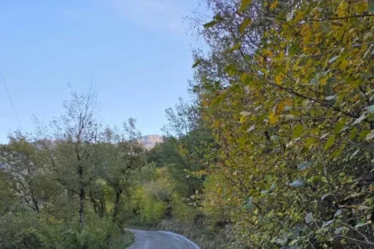 Part de la cuneta reformada de la carretera a Montenartró. - A.LL.